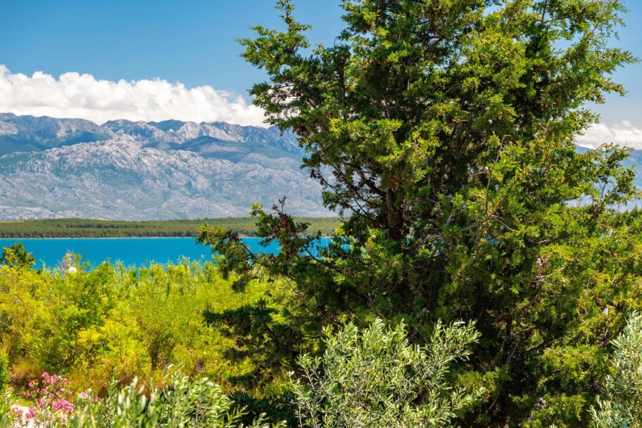 Holiday House K&K Privlaka  Εξωτερικό φωτογραφία