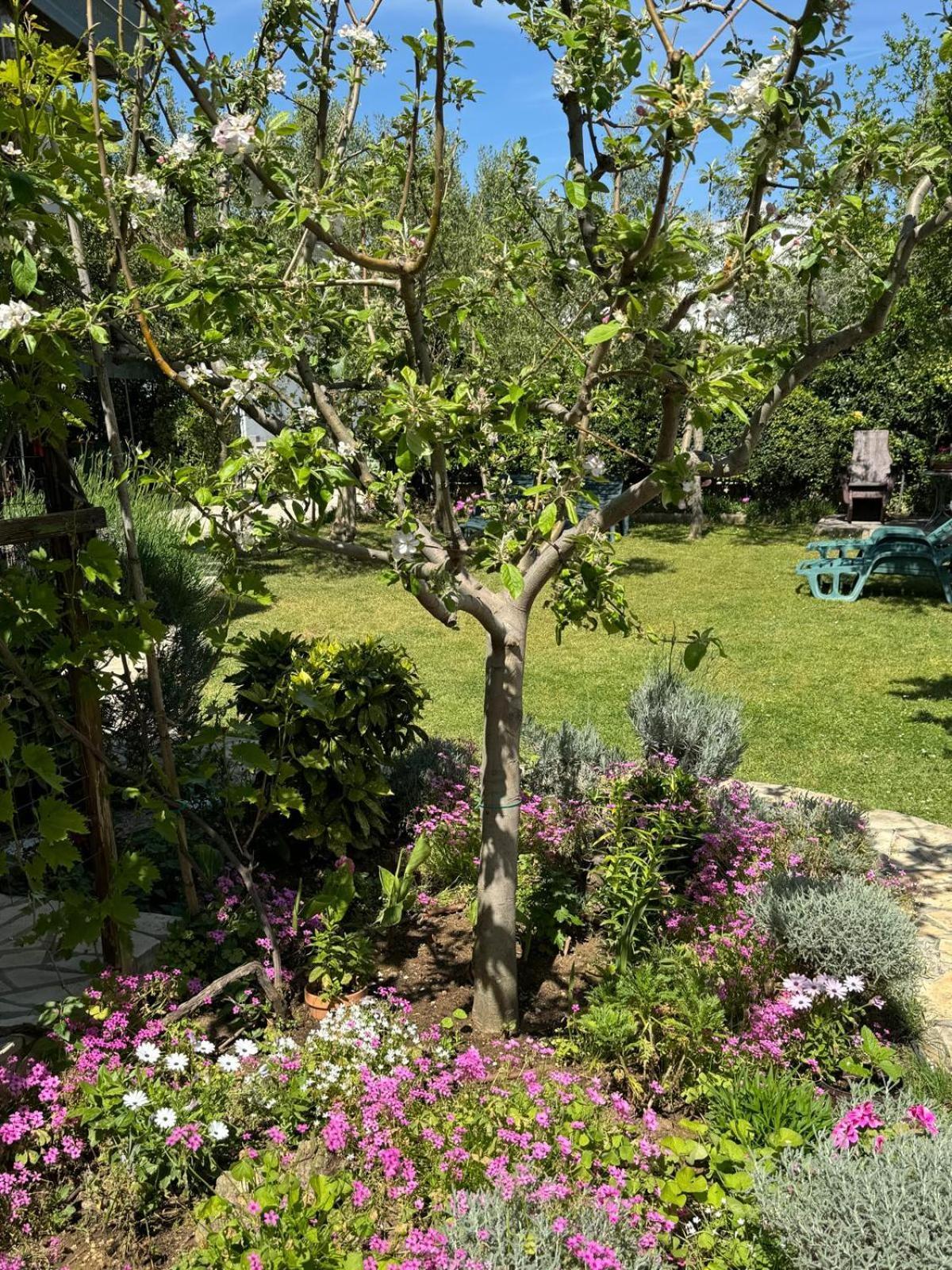 Holiday House K&K Privlaka  Εξωτερικό φωτογραφία