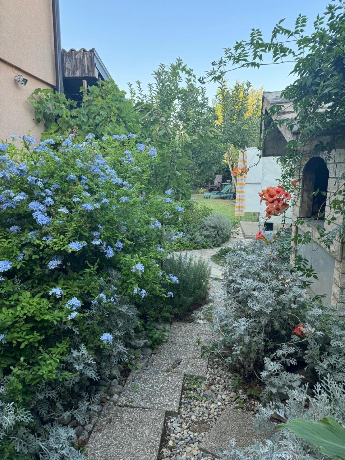 Holiday House K&K Privlaka  Εξωτερικό φωτογραφία