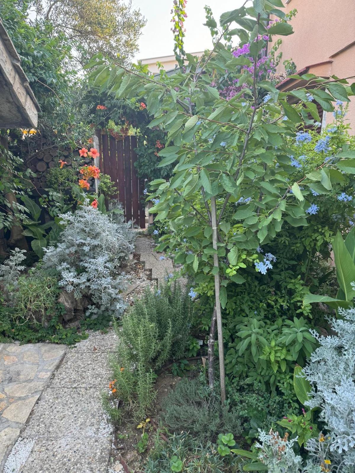 Holiday House K&K Privlaka  Εξωτερικό φωτογραφία